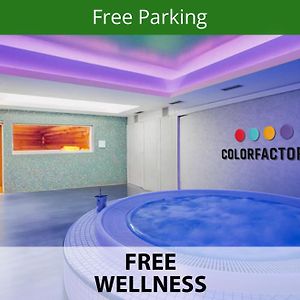 Eenpersoonskamer "Wellness"